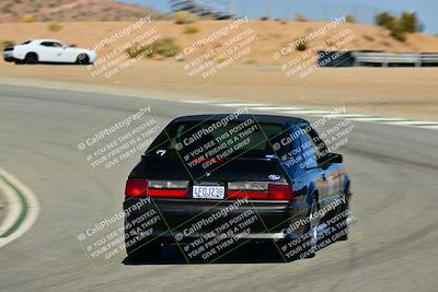 media/Nov-02-2025-Speed Ventures (Sun) [[c948a89870]]/Black/Session 2/